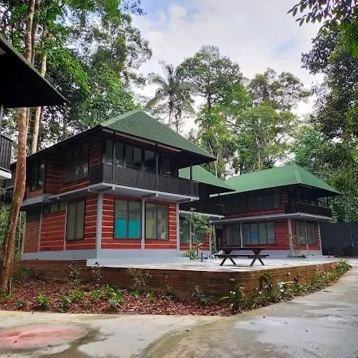 Rompin Rainforest Lodge