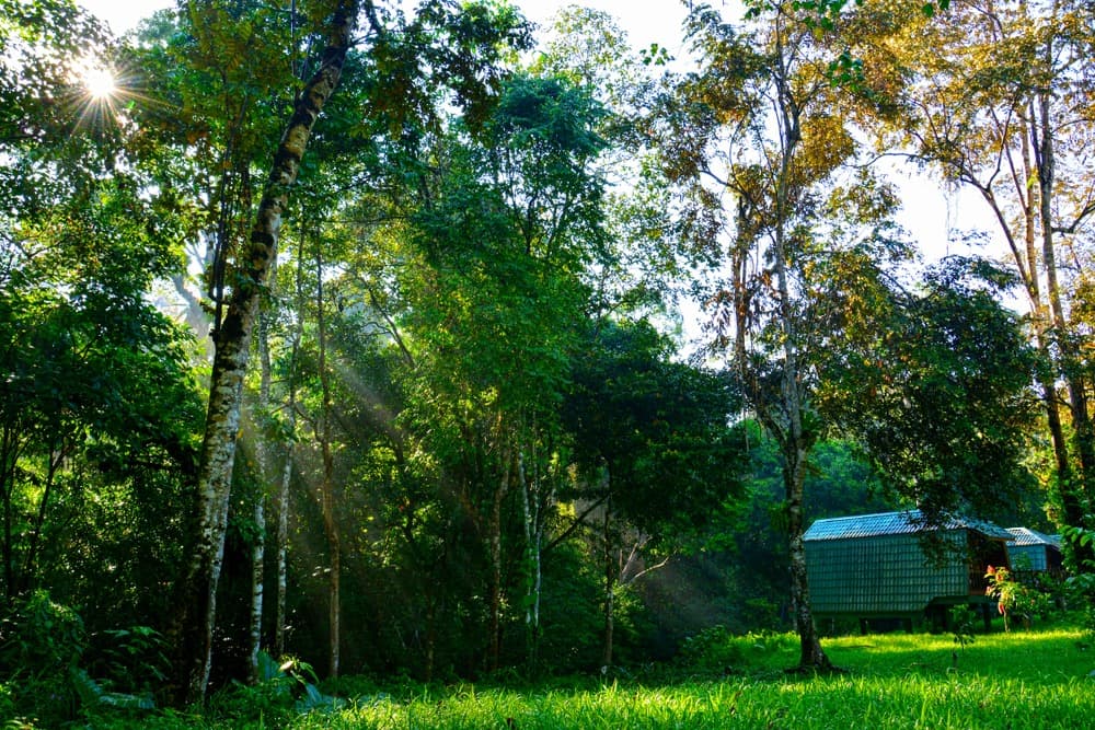 Reserva de Vida Silvestre de Tabin